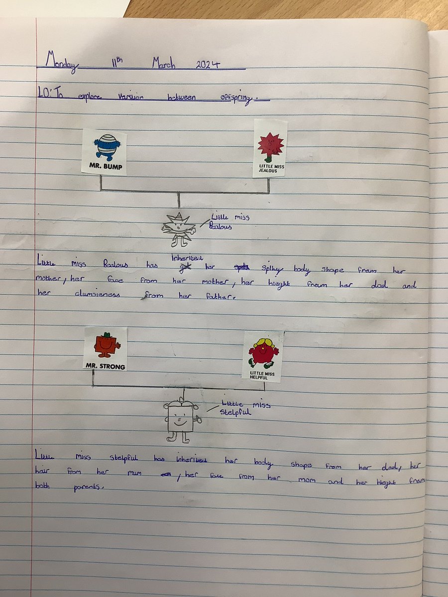 Year 6 are exploring inherited traits this afternoon by playing ‘The Mr Men Mating Game’ <a href="/PinehurstP/">Pinehurst Primary</a> #pinehurstscience What characteristics might their offspring inherit?
