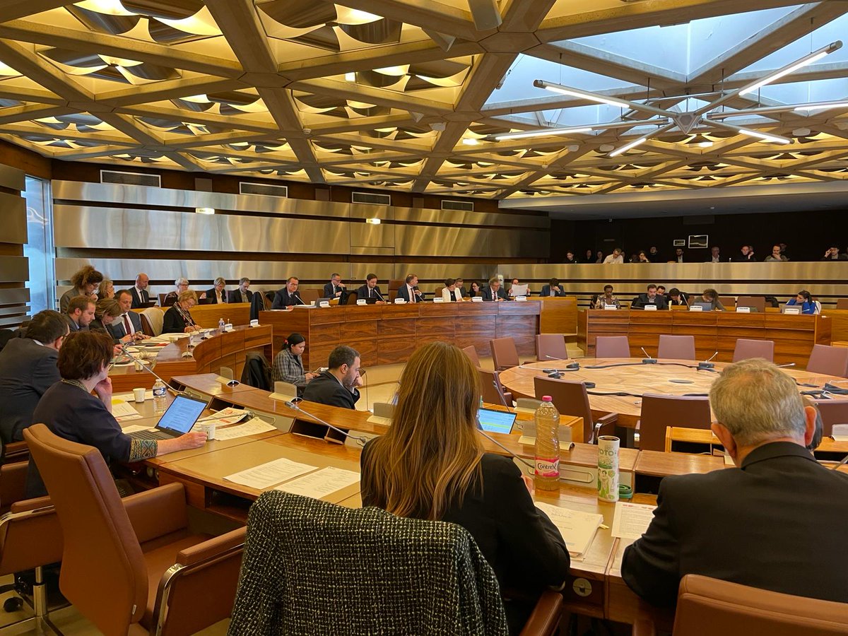 📢Séance plénière du Conseil Départemental en ce lundi après-midi. Au programme, notamment :

🔵Les orientations budgétaires
🟣 L'égalité femmes/hommes
🟢 Le développement durable
🟡 La situation dans les crèches départementales

#ValdeMarne