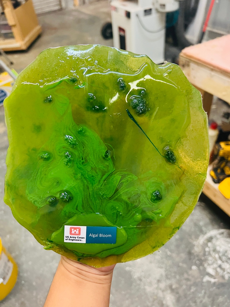 Watch out for nature's invaders! Algal blooms choke aquatic habitats, turning peaceful waters into toxic hues. Our lifelike replica is part of <a href="/USACEHQ/">USACE HQ</a>'s Invasive Species Trunk. Made durable with @smoothon UreCoat and UVO pigments. Thanks, @ramaterials, for your support!