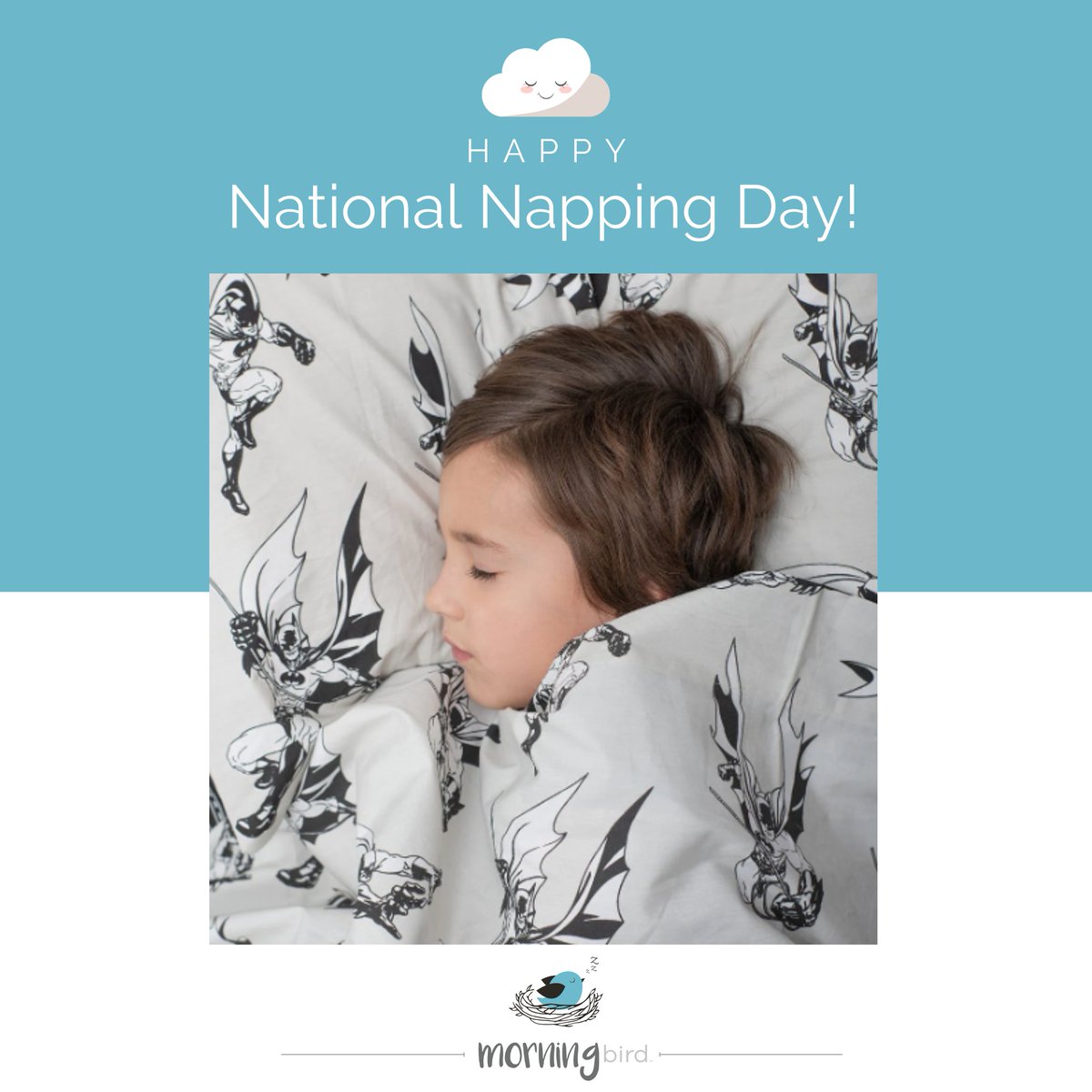 Morning Bird Home tweet media