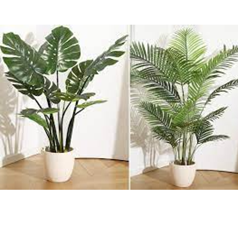 Paul Schmidt tweet media