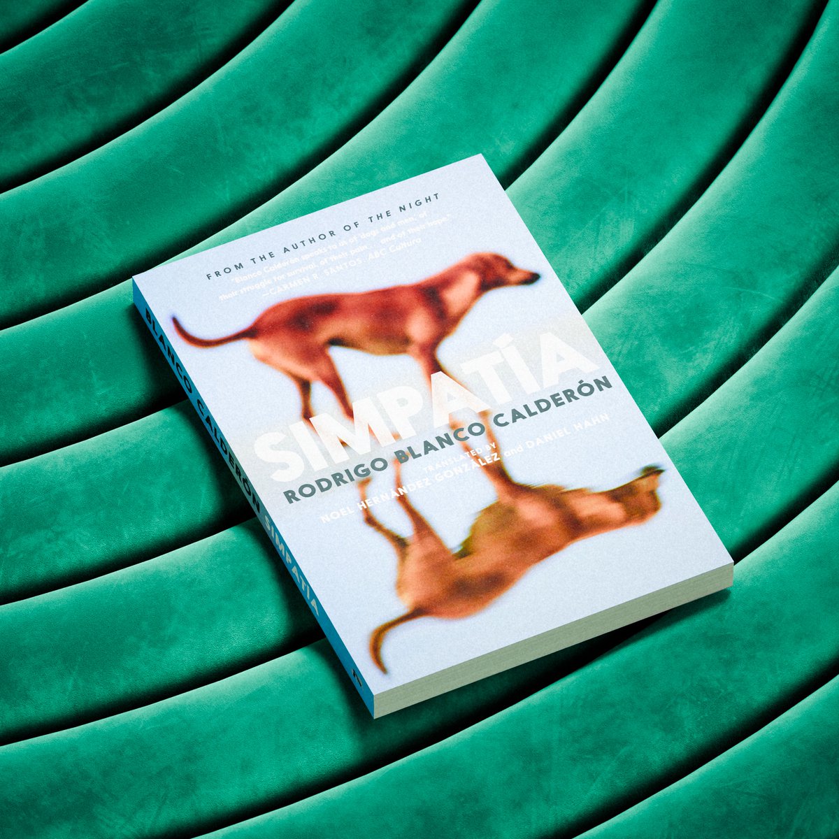 TheBookerPrizes's tweet photo. Simpatía is a suspenseful novel about the agony of Venezuela and the collapse of Chavismo.

Congratulations to Rodrigo Blanco Calderón (@atajoslargos), Noel Hernández González and Daniel Hahn (@danielhahn02) on their #InternationalBooker2024 longlisting.

https://t.co/MoA4LwFqxU https://t.co/EfOdcHz1Ls