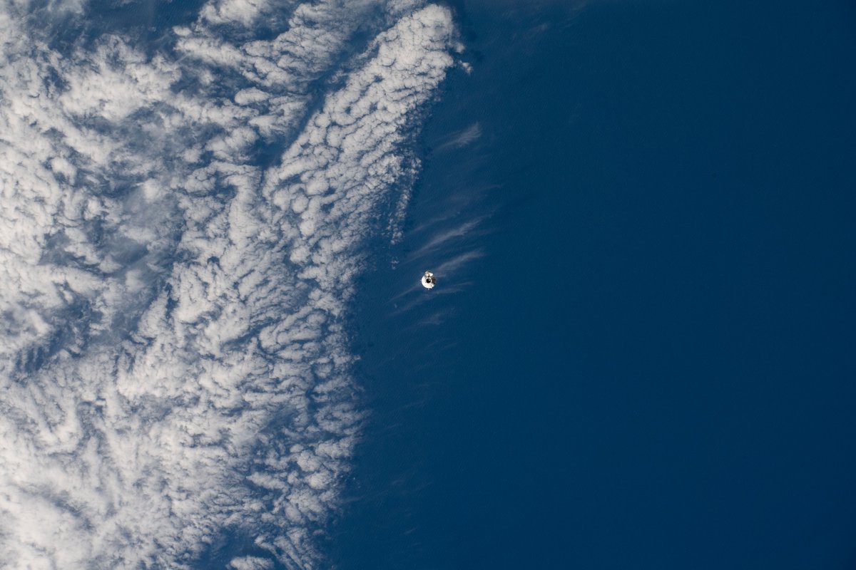 SpaceX tweet media