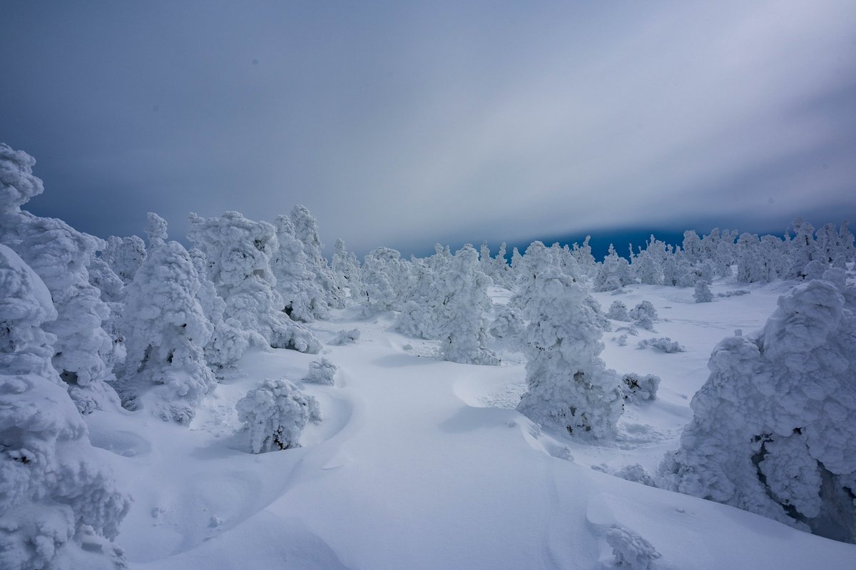 ZShincha's tweet photo. 久々に山の写真。雪景色だと明るすぎて、単一な色になってしまうのがとても難しい。そもそも激しい風と雪の中をこの場所までZ6を持って上がって、-10℃以下の状況でブレずに撮影するだけでもかなりのハードルの高さ😓皆さんどうやって撮っているんでしょうか？#西吾妻山 #Nikon #z26mmf28 https://t.co/bJfjvB4EAA