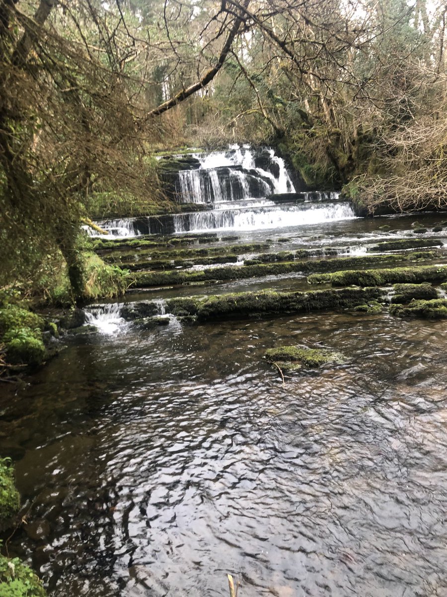 Glenariff waterfalls, or cascades, near Rossinver in Co Leitrim. Hidden Ireland. ⁦⁦@freyamcc⁩ ⁦@MarkHennessy⁩ ⁦⁦@SiCarswell⁩