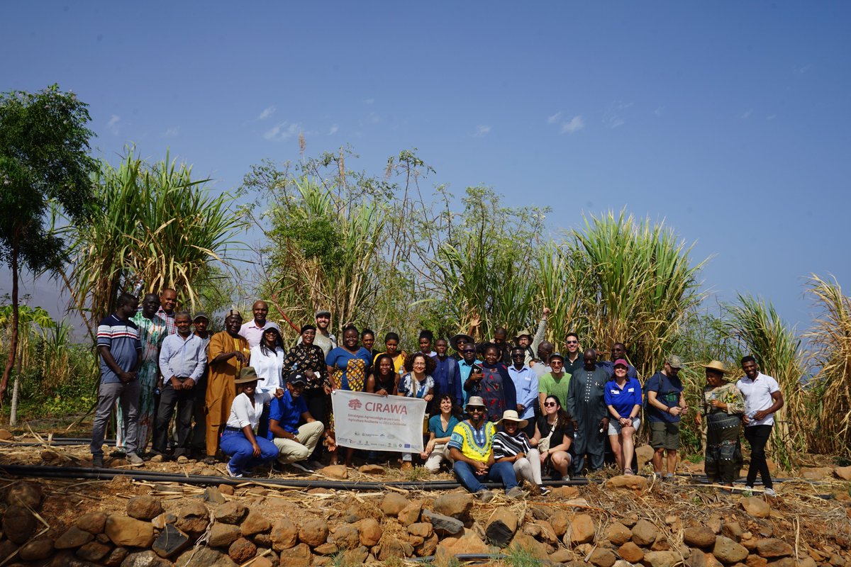✨A big thank you to all the partners that travelled to #CapeVerde last week to join the CIRAWA consortium meeting! 🌍🇨🇻

🤝Special appreciation goes to our local partners for their warm hospitality.

📸See more photos here: cirawa.eu/image-library/…

#Agroecology #Sustainability
