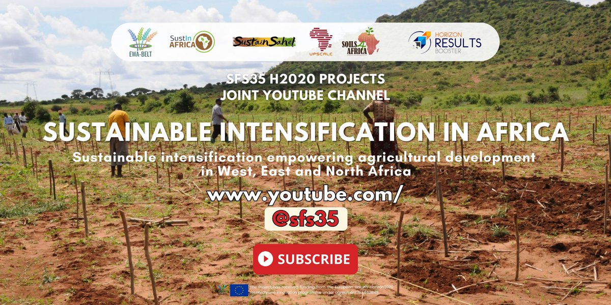 Joint YouTube channel launched 🚀
in synergy with <a href="/ewabelt_project/">EWA-BELT - a EU Horizon2020 Project</a>, <a href="/SustInAfrica/">SustInAfrica</a>, <a href="/upscale_h2020/">UPSCALE</a> and <a href="/Soils4A/">Soils4Africa</a>
📽️Showcasing the benefits of agroecological innovations on the ground and providing evidence to support the mainstreaming of these practices
🔗youtube.com/@sfs35