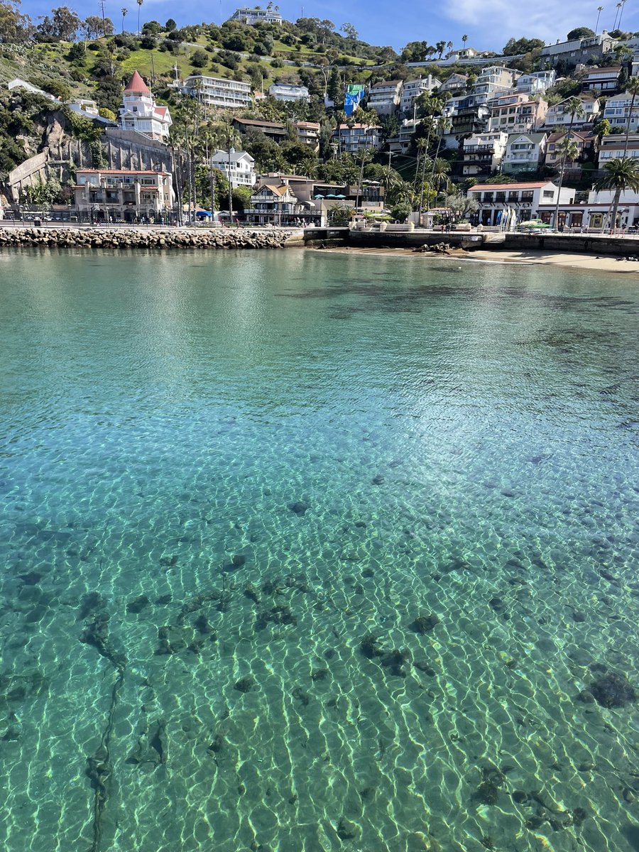 The water is so clear in Avalon Bay @VisitCatalina @VisitCA take the @CatalinaExpress over on a 70 minute ferry ride.