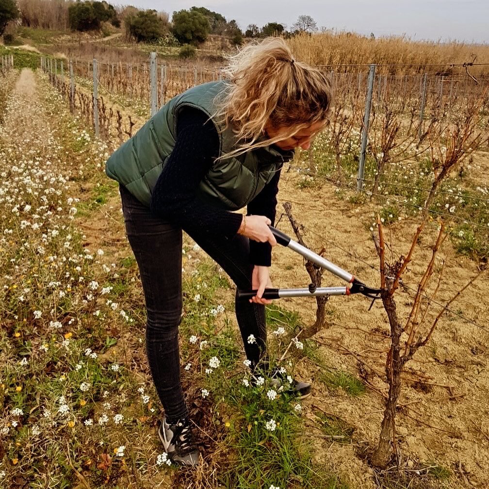 ⚡️La famille de la Vivarelle est réunie pour tailler la vigne.
Une étape longue et délicate, réalisée à la main par nos soins, essentielle afin d’assurer la pérennité de nos souches et la qualité de nos raisins 🍇