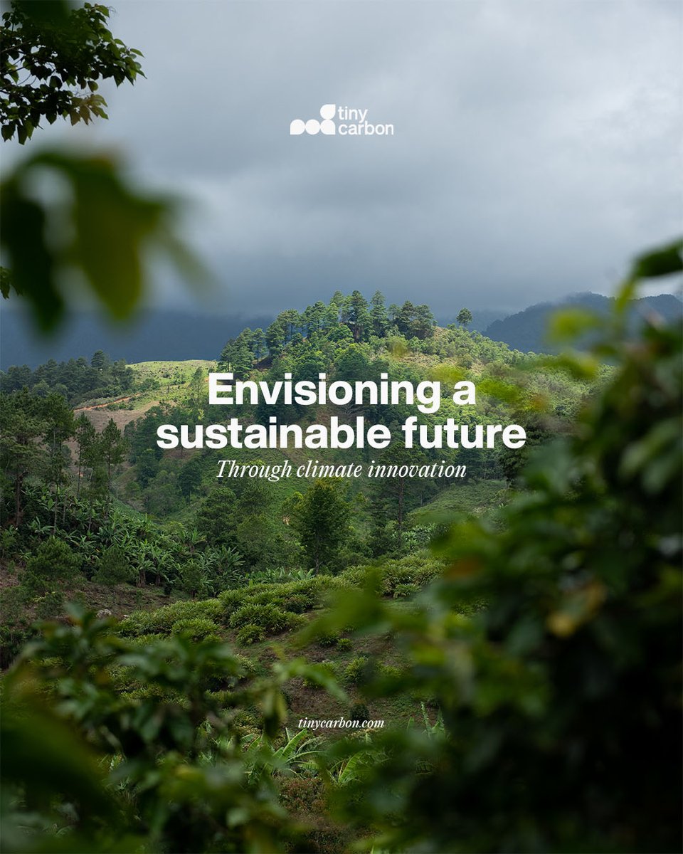 By embracing supporting green technologies and advocating for policy shifts, we can collectively forge a path towards a thriving, resilient Earth. Let's commit to this journey, for our planet and future generations.

#TinyCarbon