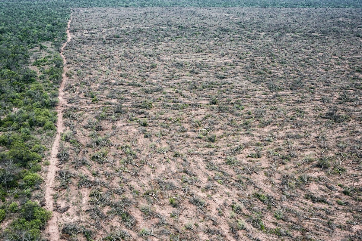 Observaciones de <a href="/GreenpeaceArg/">Greenpeace Argentina</a> a la propuesta de actualización del Ordenamiento Territorial de Bosques de Chaco 

- Permitirá desmonte legal de más de 1 millón de hectáreas
- Desprotege corredores de conservación
- No se consultó a pueblos originarios

greenpeace.org/static/planet4…