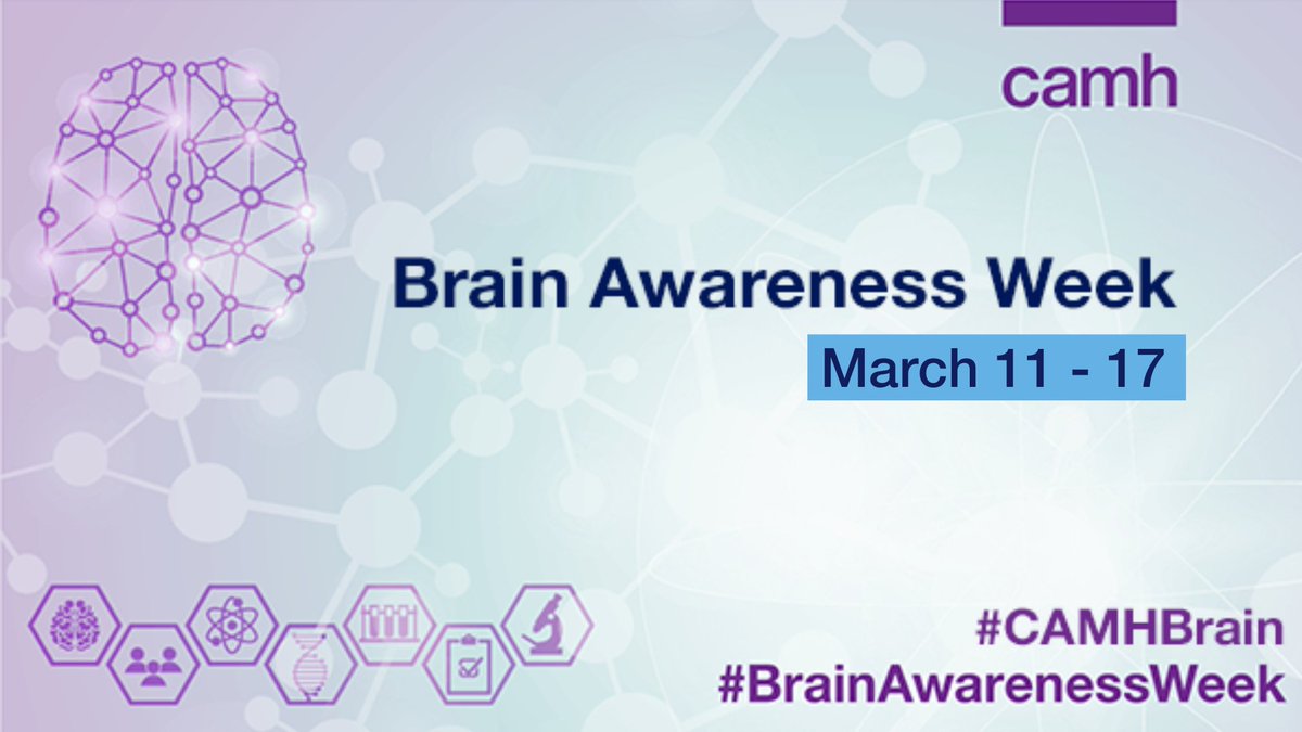 It's #BrainAwarenessWeek! Throughout the week we'll be highlighting the importance of #BrainScience and how this #research can help people lead healthier lives - because #MentalHealthisHealth! 💪🧠 #BAW24