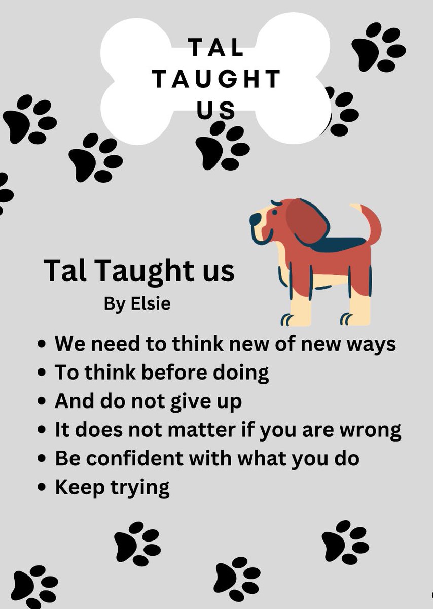 NantCelynY6's tweet photo. Last week we had a very special visitor! Taliesin our School Dog joined us for a bit of problem solving in Maths! Tal taught us about using different methods, making it easier, perseverance and resilience! @NCSchoolDog 
@TheDogMentorUK https://t.co/c8k6hmGGWv