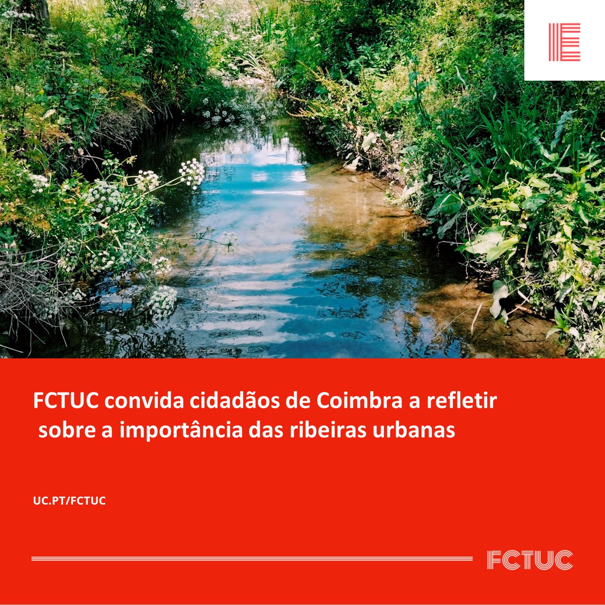FCTUC convida cidadãos de Coimbra a refletir sobre a importância das ribeiras urbanas. Saiba como participar através do nosso site: uc.pt/fctuc/noticias…