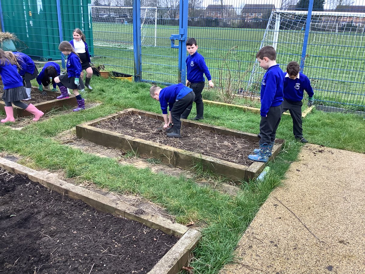 Fiona Cox Winchelsea tweet media