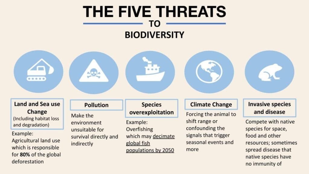 Explore the key challenges endangering biodiversity in this eye-opening infographic by @EarthOrg #Biodiversity #EnvironmentalChallenges 🌿 @GYBNAfrica