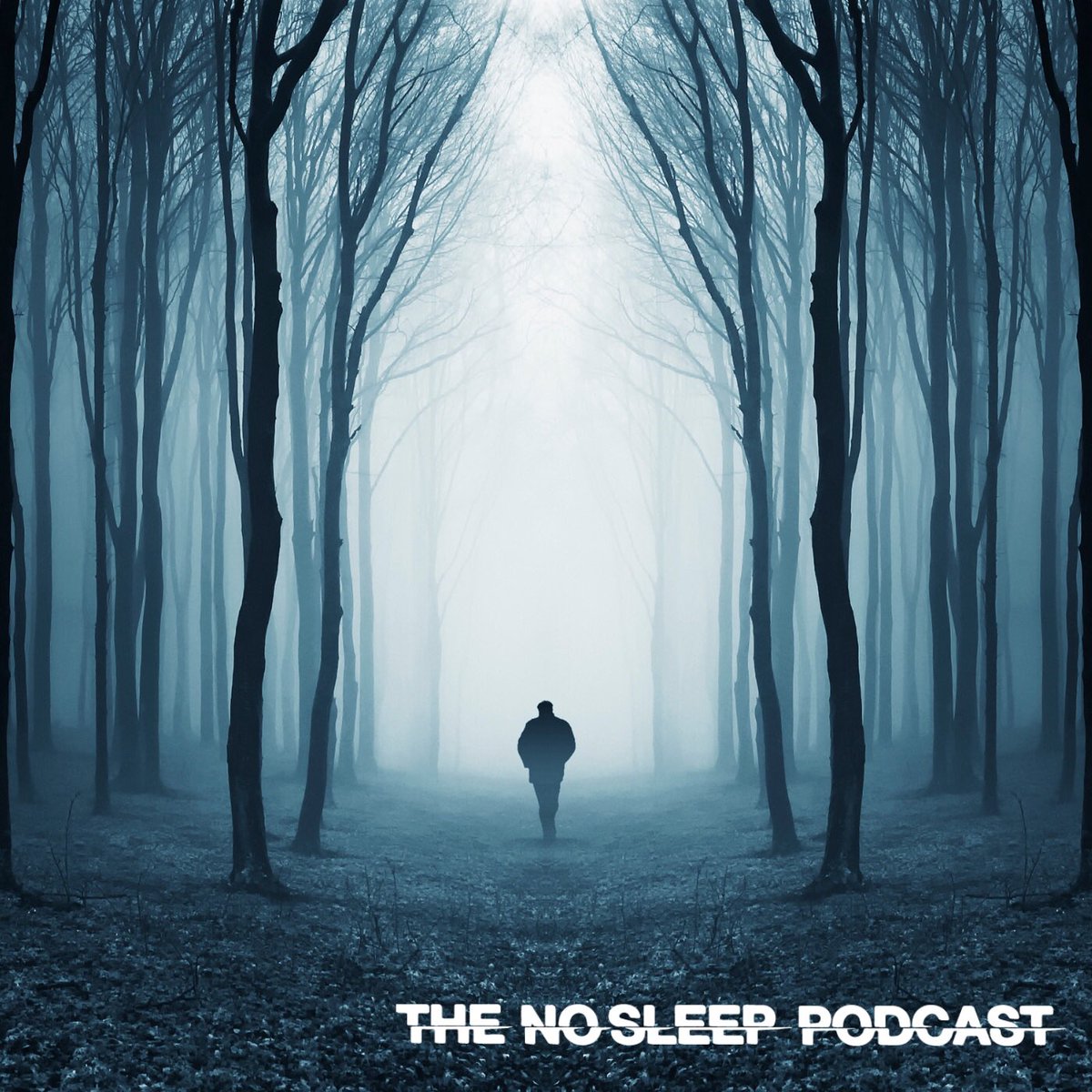 Dreadful #Monday? Embrace the darkness with the latest NoSleep podcast episode. 

🎧 thenosleeppodcast.com/episodes/s20/2…

Let chilling tales set the tone for the week ahead. 

Dare to listen? #NoSleepPodcast #HorrorMonday #newhorror