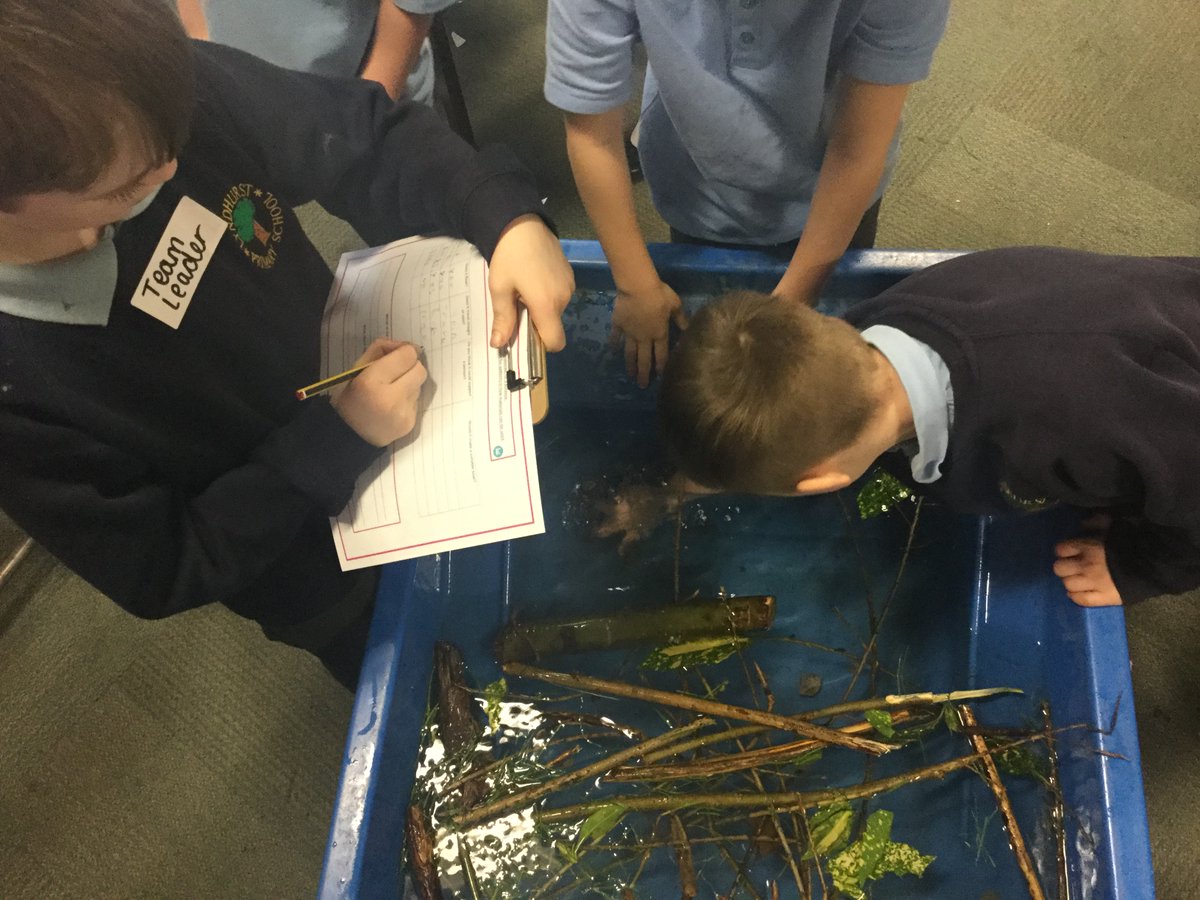 For #BritishScienceWeek we have been observing what materials are suitable for making boats with! We have learnt that sticks are a very good way of floating and travelling in straight lines @LyndhurstCPS @TrustVictorious #BoatsThroughTime