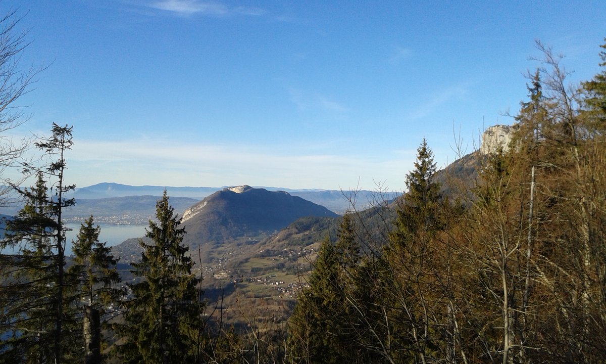 Prefet74's tweet image. #JIF2024 #ForestDay C'est la journée internationale des forêts : des activités auront lieu pour emmener le grand public à la (re)découverte des arbres et des forêts de #HauteSavoie, pour des moments conviviaux et éducatifs. 
🌲🌳haute-savoie.gouv.fr/Actions-de-l-E…
@JIF_France @ONF_Officiel