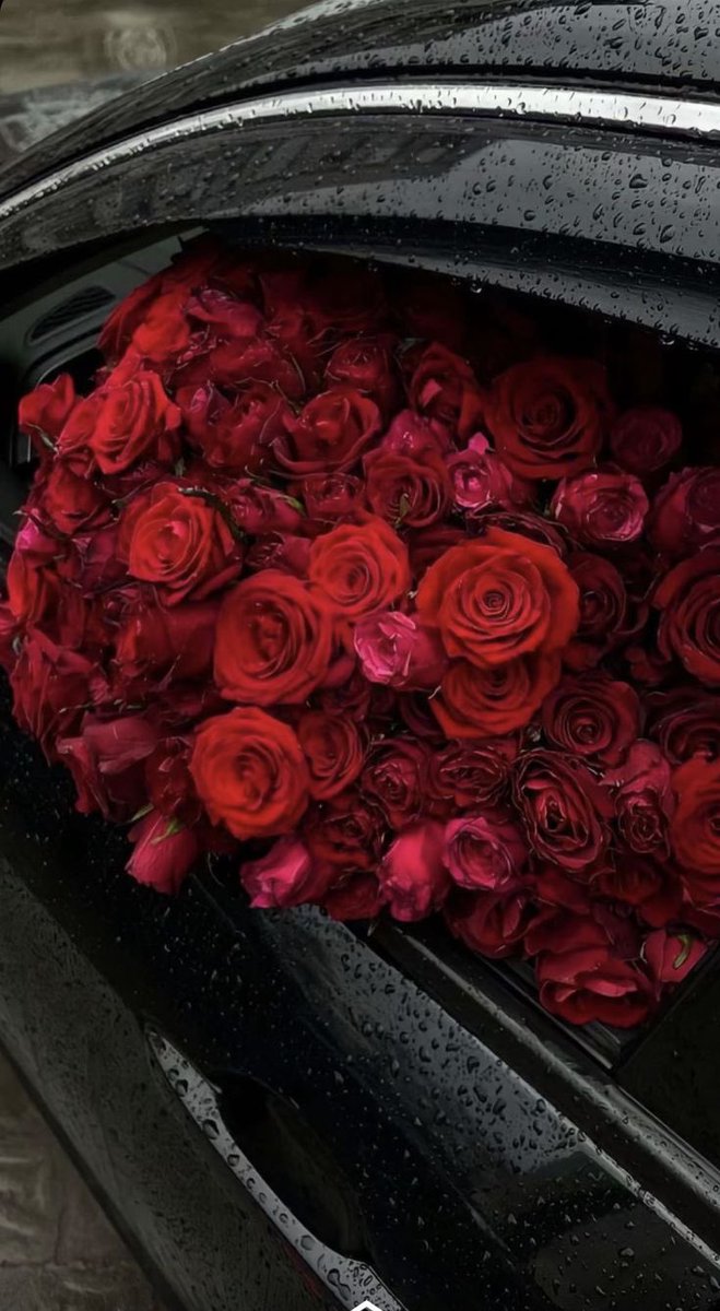i3Moment's tweet photo. Red roses https://t.co/UNSs6jQA2A