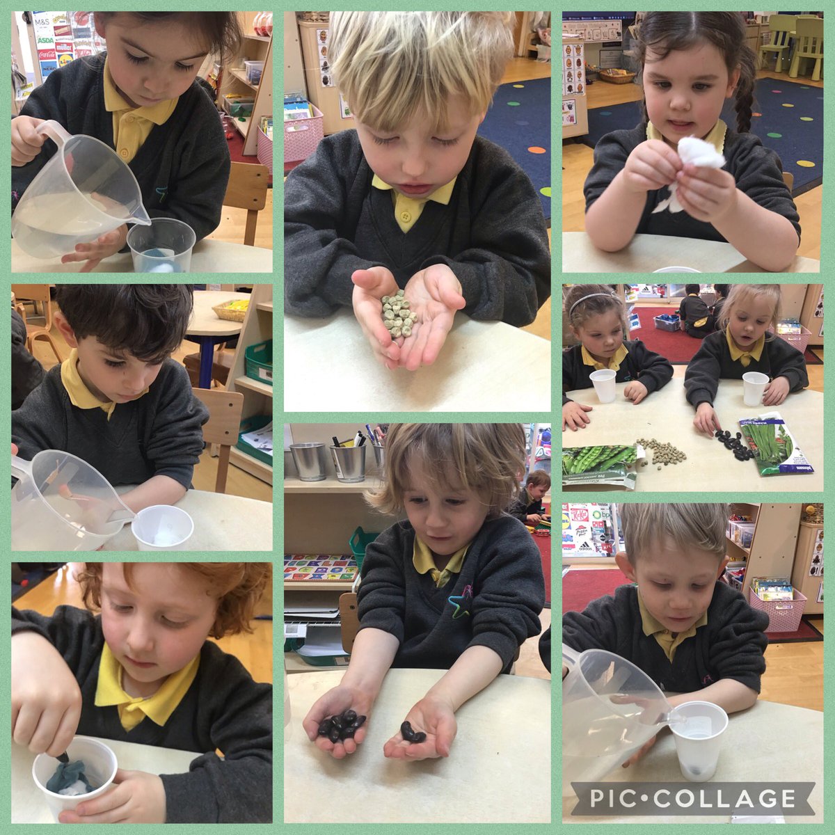 For #BritishScienceWeek2024 we planted some beans or peas to watch them change over ‘time’. #TSPScience #Enjoy