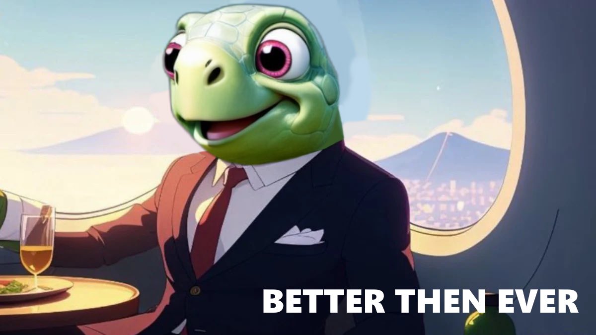 My friends asking me how I’m doing: 

Meanwhile $TURTLE is up 1700% in 24h