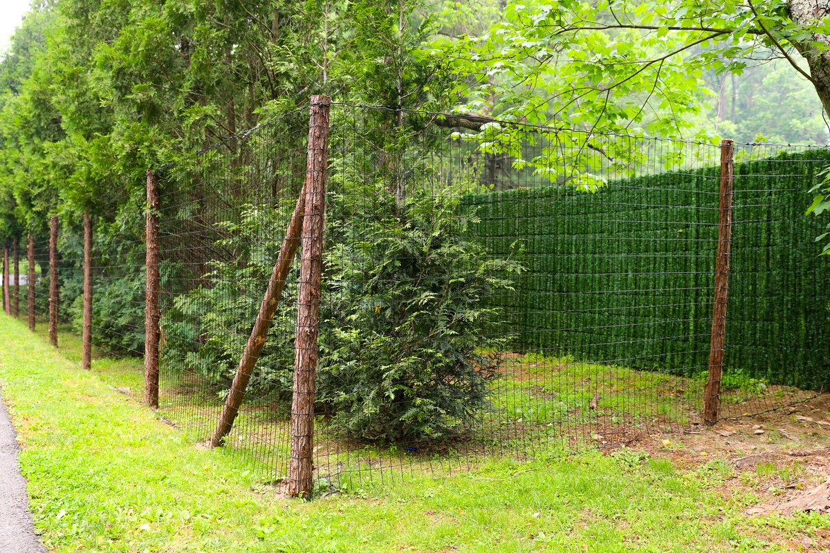 Are those pesky deer eating your bushes? You need a deer fence! This Wooden deer fence with welded wired mesh is perfect for keeping those deer out while keeping your plants visible. Visit hubs.li/Q02nXPmd0 
or call 914-666-5596.

#garonfence #deerfence #customfencing