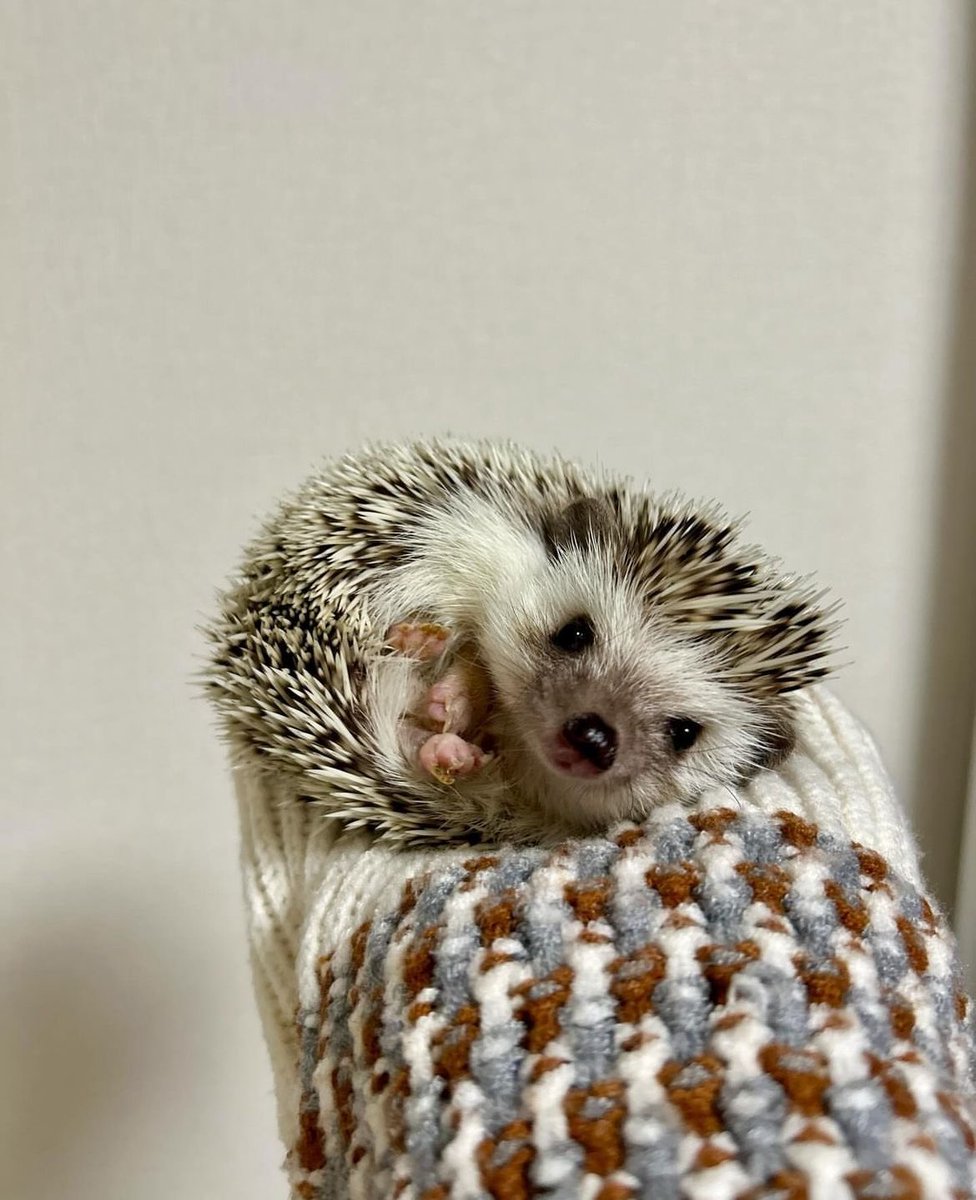 Monday 11th March, 2024