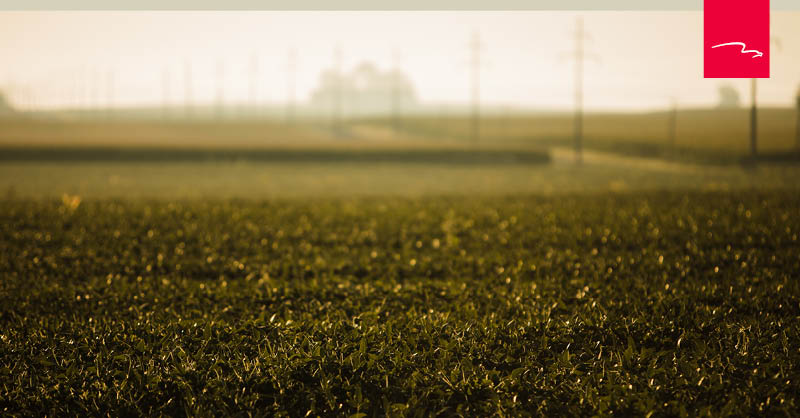 GAIGroup's tweet photo. The sales closing date for many #springcrops is March 15. Learn how we can help ensure your farm or ranch operation is protected with a policy from Great American. https://t.co/M4V6iTTkbp #ForAllTheGreatYouDo
Great American is an equal opportunity provider. https://t.co/btxu65TG01