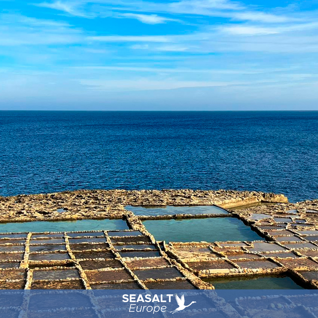 🌊💪 We are delighted to welcome The Xwejni Salt Pans Leli Tal-Melh, located in Zebbug, Gozo, (Malta) as our newest member! We are confident that The Xwejni Salt Pans will be a valuable asset to Seasalt Europe.
#SeasaltEurope #Tradition #Malta #XwejniSalPans #Gozo