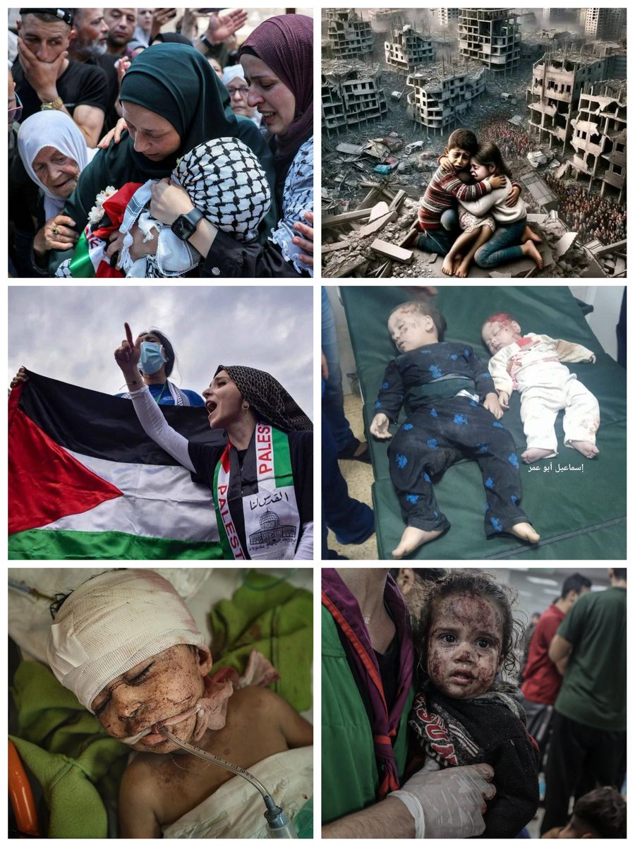 🔔🔔Mirad, acaso no ha sido suficiente tanto dolor, tanta destrucción???

📢Basta YAAAAA...esta masacre ha convertido a Palestina en un cementerio de inocentes...

📌Es hora de que los culpables paguen sus crímenes...

#FreePalestine 
#DeZurdaTeam