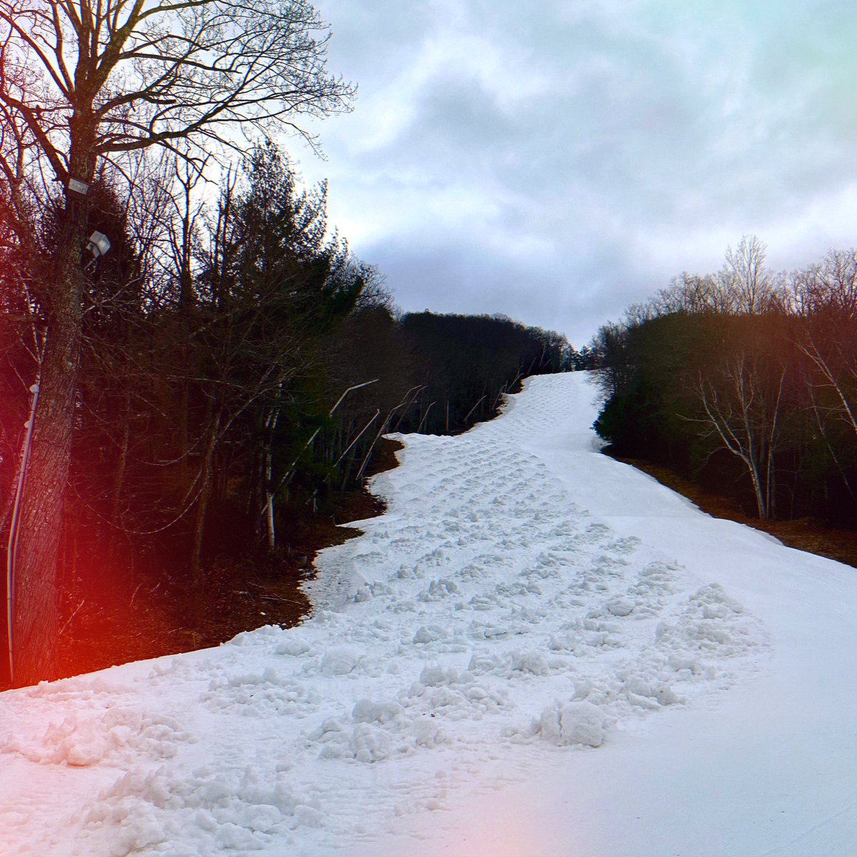 Moguls are seeded! Come break in the bumps on our black diamond Gunbarrel trail. Or, try our mogul run on Exhibition trail, which is already well broken in!