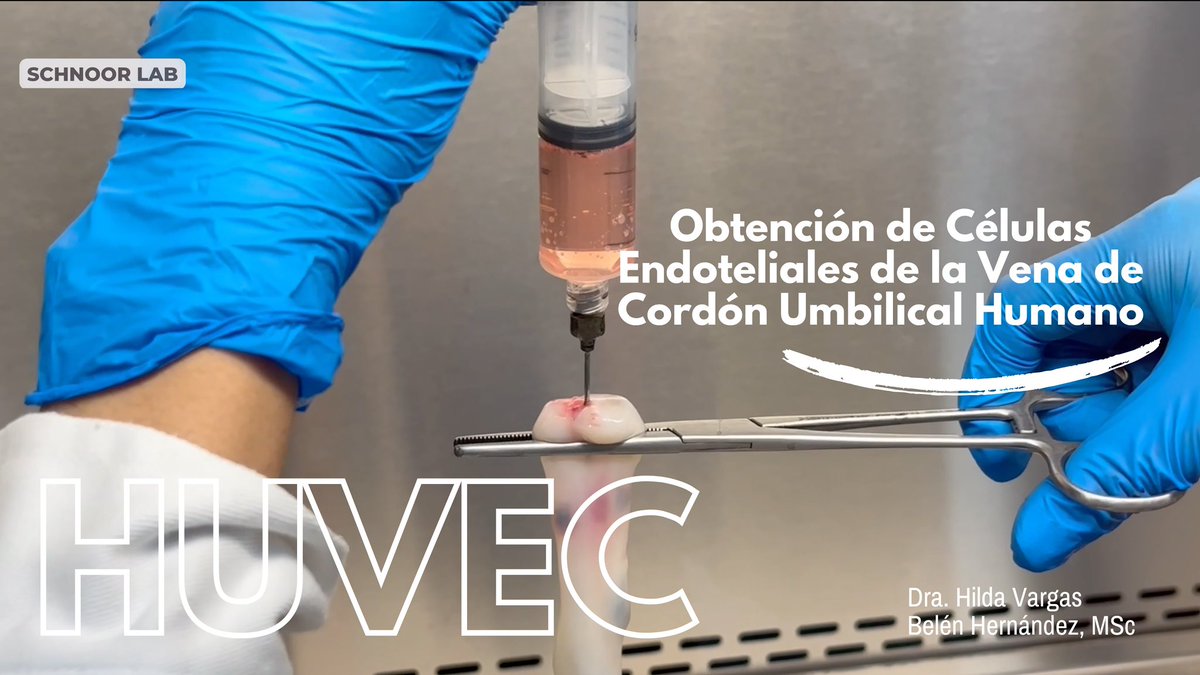 Schnoor Lab tweet media