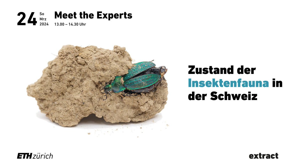 Wie steht es eigentlich um die #Insektenfauna in der Schweiz und ist das «#Insektensterben» ein Grund zur Beunruhigung?

Treffe unseren Experten zum Thema, Dr. Felix Neff, und erhalte Einblick in aktuelle Forschungsergebnisse.

📅 24.03.2024, 13.00
👉 ow.ly/frZ150QPW3H