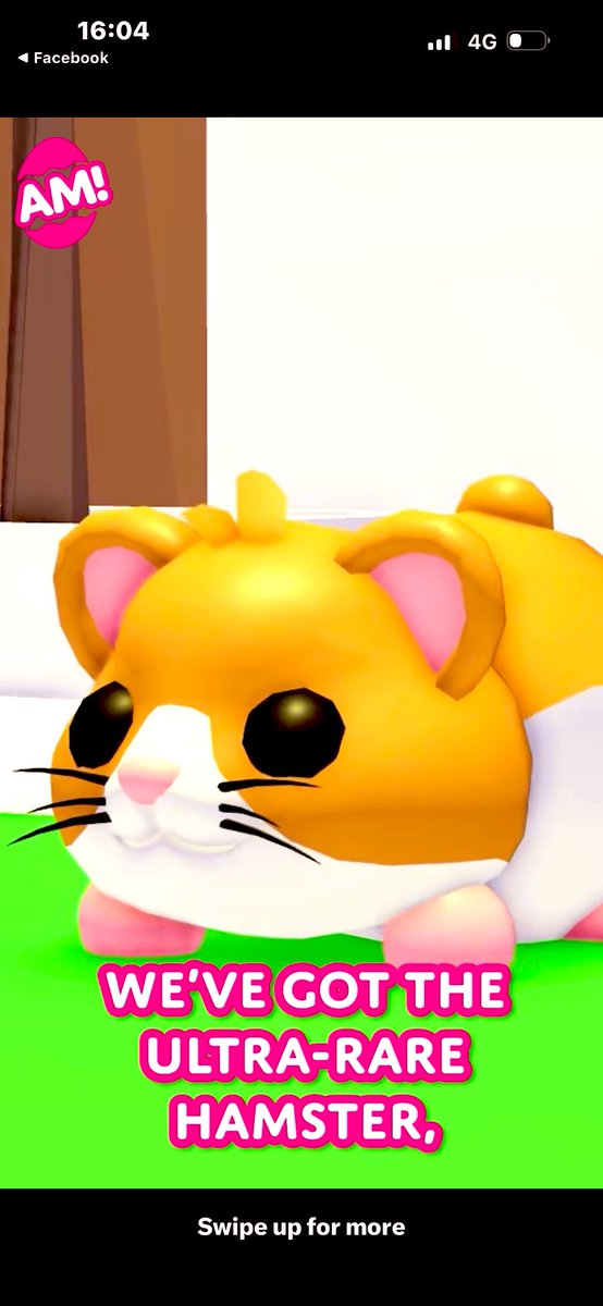 Omg 😆 finally the hamster 🐹 🥰