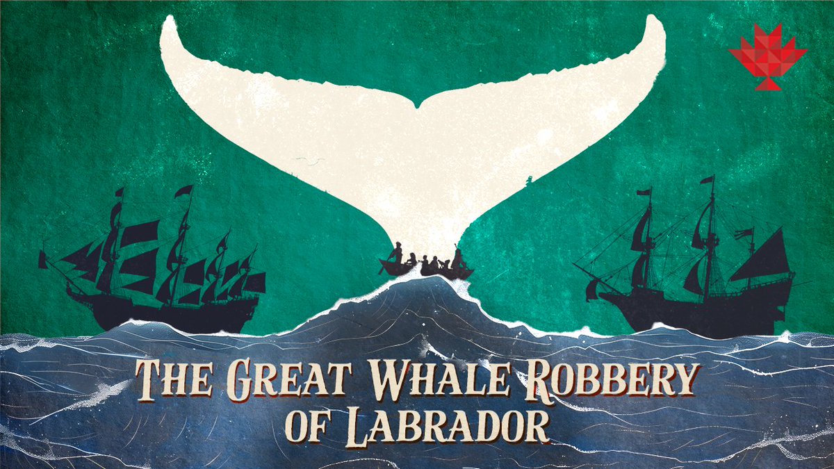 We travelled to Red Bay, Labrador to tell this truly incredible story about whaling in the 1500s, and two Basque captains who went head to head over an alleged whale theft. Streaming now at youtube.com/canadiana