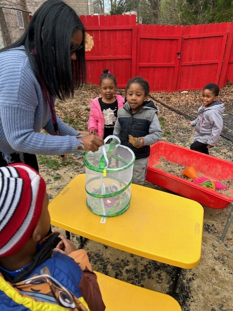 TheDanielCenter's tweet image. Last week Pre K observed the life cycle of Butterflies. They started as caterpillar, we watched them grow and turn into butterflies and Friday we watched them fly away 🦋 🦋
#prekscience #stemeducation #lifescience