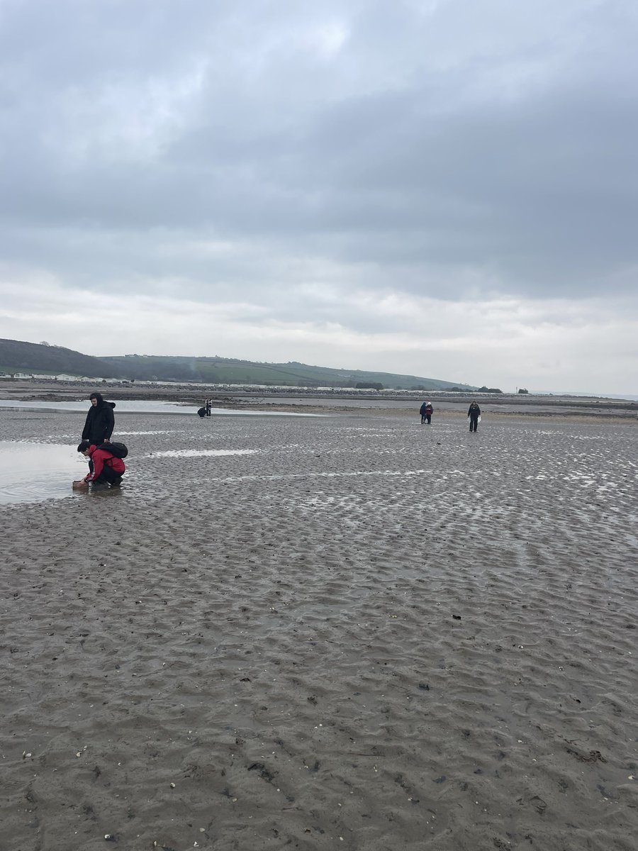 Great afternoon teaching cockle stock assessments to our third year Marine Biologists. Counting cockles, and aging them, plus making a note of any other species such as Scrobicularia and Macoma 🐚