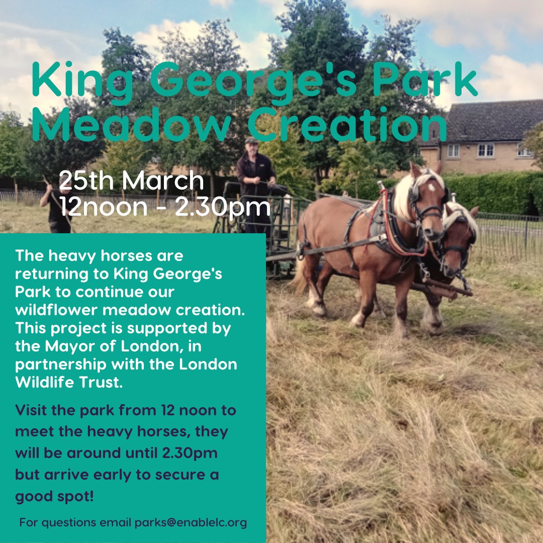 Join us in King Georges Park across lunchtime on 25th March where the heavy horses will be back in action mowing and harrowing the new wildflower meadow areas.📸