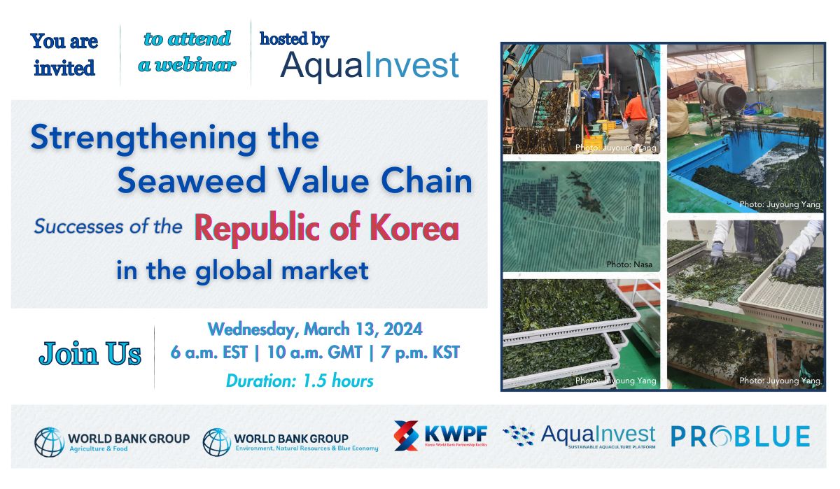 Global Seaweed Coalition tweet media