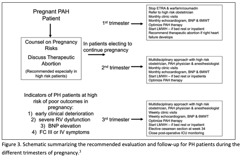 🔴 #CardioObstetrics: Pregnancy & Pulmonary Hypertension
cardionerds.com/124-cardio-obs…
#Cardiology #cardiotwitter #CardioEd #medical #medicine #cardiovascular #MedEd #medtwitter