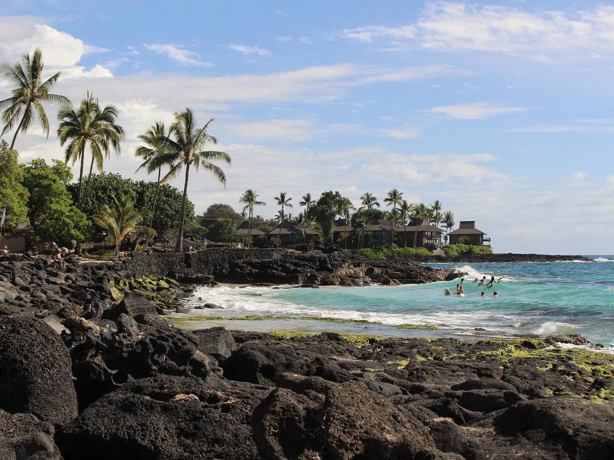 Grateful to have been selected for my first travel award and first conference talk at #MPA2024! Such an amazing lineup of speakers in an absolutely beautiful setting 🌴
