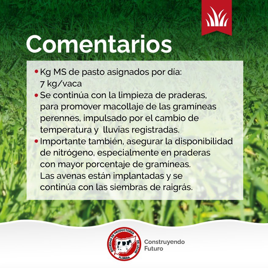 Info #planverde 
Gestión del pasto 🌱 
🗓️ 01/03 al 08/03

#splf #servicios #planverde #propasto