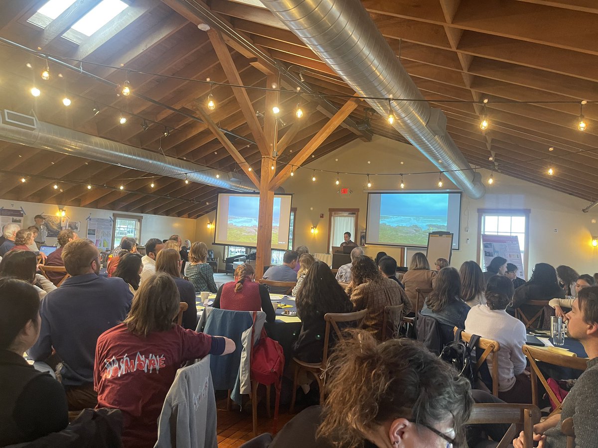 Alexandra Ávila L, tweet media