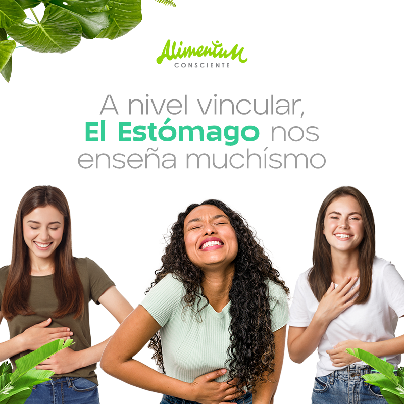 AlimentumC's tweet photo. 🌱✨😌 Feliz inicio de semana ✨Hoy te quiero compartir este hilo sobre como resignificar tus vínculos afectivos y tu relación con la alimentación 🍽️

#alimentacionconsciente #bienestar #salud #comida https://t.co/4hN9uhrc2u