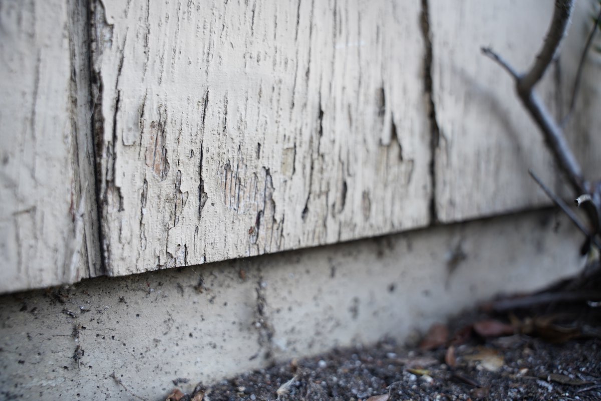 RogallCo's tweet image. Zooming in on Destruction Rogall + Co. tackles siding damage with precision and care. #SidingSolutions #RogallAndCo #homebeautification #homegoals #RogallMagic #DreamHome #Transformation #HomeMakeover #HomeInspiration #CurbAppeal #ElegantLiving #HomeLove #CentralCoast