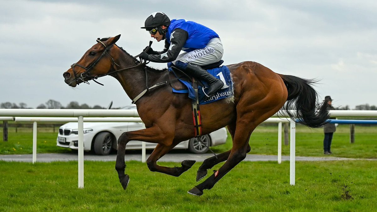 💎 Patrick Mullins on ASHROE DIAMOND, per @geegeez_uk: 'I think she has a huge chance and I think her form is against proper open class geldings. 'It’s a great position to be in as there is no pressure and I do think at the trip, she has a great chance of causing an upset.'