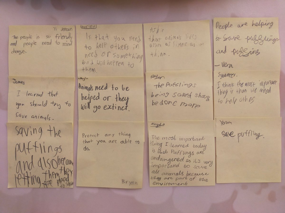 We recently received these inspiring reflections on Puffling from 6th-grade students (Ages 10-11) in Malaysia. There are several insightful thoughts from these students, but we couldn't resist highlighting one... A simple yet profound message: 'Protect anything you are able to.'