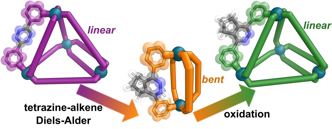 Delighted to share our new preprint on ChemRxiv 'Structural transformations of metal-organic cages through tetrazine-alkene reactivity' go.shr.lc/3Pd5DdJ with @Mrb_Black @09Soumalya @steppphhhen