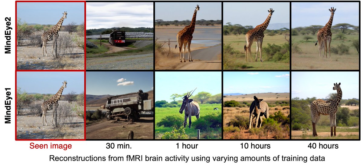 🧠👁️Our MindEye2 preprint is out! We reconstruct seen images from fMRI brain activity using only 1 hour of training data. This is possible by first pretraining a shared-subject model using other people's data, then fine-tuning on a held-out subject with only 1 hour of data.🧵